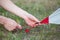 Close-up of Girl hands fastens a tent for camping pegs.