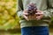 Close Up Of Girl Outdoors Holding Jar Of Autumn Pine Cones With Conkers Acorns And Beech Nut Cases