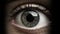 Close-up Of A Girl\\\'s Eye: Uhd Image With John Wilhelm Style