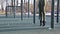 Close-up of girl`s legs on the open area for workout. Woman shakes the press hanging on the horizontal bar