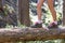 Close up of a girls feet walking and balancing on a fallen tree trunk