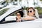 Close up of girls in sunglasses in the car