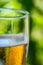 Close-up of glass of fresh and cold beer on green background