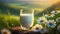 Close-up of glass of fresh milk, green grass and daisies on background. Tasty and healthy beverage