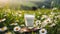 Close-up of glass of fresh milk, green grass and daisies on background. Tasty and healthy beverage