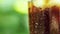 Close-up of a glass with a refreshing cold drink with pieces of ice and bubbling liquid on a blurry summer foliage