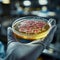 Close up of gloved hand holding petri dish with bacterial culture