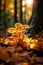 close up of golden mushrooms in the autumn forest, Generative AI