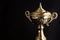 Close up of Golden trophy over black background. Winning awards with copy space for text and design.