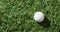 Close up of golf ball on grass, copy space, slow motion