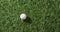 Close up of golf ball on grass, copy space, slow motion