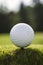 A close-up of a golf ball on the tee AI generated