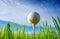 Close up the golf ball on tee pegs ready to play with sky background