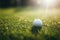 Close-up Golf Ball on Tee with Serene Green Bokeh Background, Perfect Shot on the Golf Course