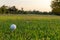 Close up golf ball woman putting golf ball in hole tee with club in golf course on evening on time for healthy sport.