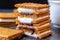 close-up of gooey marshmallow sandwiched between graham crackers