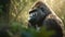 Close up gorilla portrait in the forest