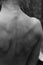 Close-up graceful pose of female naked back. Beautiful athletic female body, prominent muscles