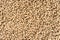 A close up of granulated animal food texture