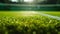 Close-up grass tennis court, freshly cut grass on a tennis court