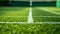 Close-up grass tennis court, freshly cut grass on a tennis court