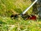 Close-up of a grass trimmer with a nozzle in the form of a metal knife. Care of the plot, cutting grass, tall grass, weeds. View