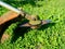 Close-up of a grass trimmer with a nozzle in the form of a metal knife. Site maintenance, grass cutting
