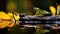 A close up of a grasshopper on a log. Generative AI image.