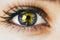 Close up gray Eye with yellow Illuminating in centre, concept photo of year color, 2021