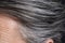 Close up of gray streaks in dark hair