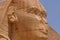 Close up of Great Sphinx