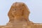 Close up of Great Sphinx