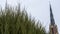 A close-up of a green arborvitae against a cloudy sky and the high spire of a church. Space for text