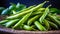 Close-up of green beans. Organic and tasty food