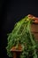 Close-up of green carrots leaves, on box and wooden table, with black background, vertical