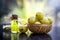 Close up of green colored herbal and organic oil of amla or Indian gooseberry in a transparent bottle with raw amla in a basket.