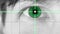 Close up Green Eye on Grid Lines