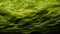 A close up of green fibers background