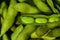 Close-up of green fresh cooked soybeans with salt, edamame with opened pods