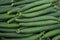 Close up of Green fresh ridge gourds vegetable in the market for sell . Uses for background or texture.