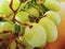 Close up of green grapes on a stem fruit