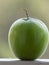 Close up of Green Indian Ber, Ziziphus mauritiana, also known as Chinese Date/Apple