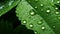 Close-up of a Green Leaf with a Glistening Water Droplet. Generative ai