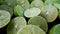 Close up of the green lime in a kitchen. Lime is a kind of fruit.