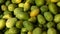 Close up of Green mangoes