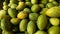 Close up of Green mangoes