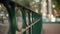 Close-up of green metal fence with blurry background