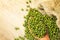 Close up green mung beans in wooden spoon on wood plate