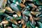 Close up Green mussel