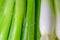 Close up of green onions chives scallion